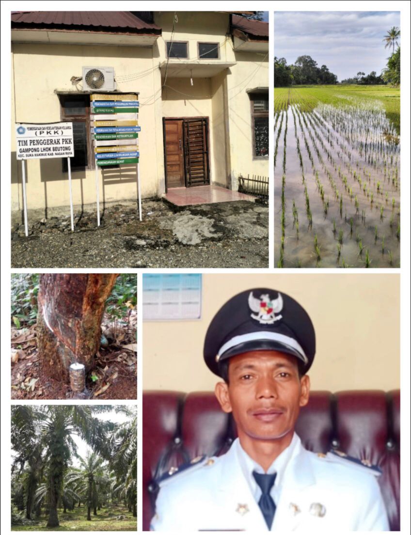 Desa Lhok Beutong, Alhamdulilah setiap panen padi mencapai 100 Ton lebih, dengar harga 5000 ribu